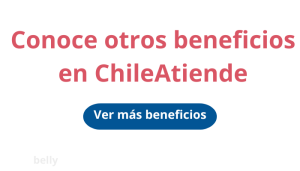 ayudas chile