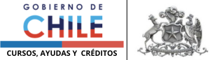 Logo de belly para Chile