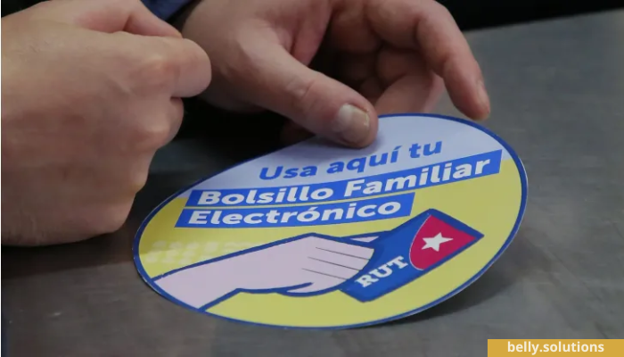 bolsillo-familiar-electronico